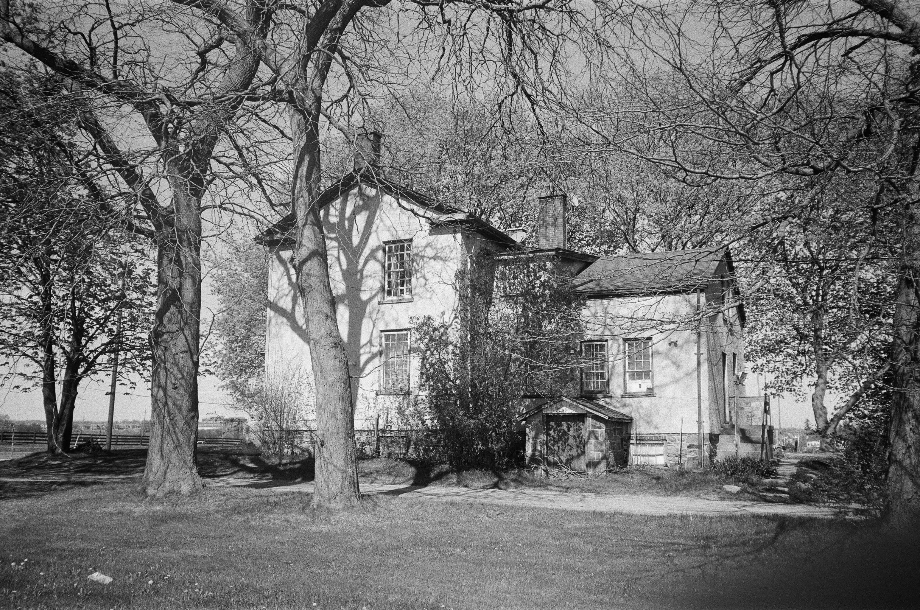 Light, Shadow, Silence